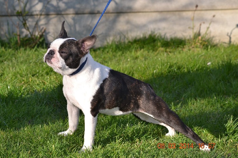 Publication : Du grand fresnoy Auteur : dominique savary