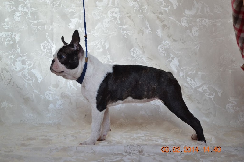 Publication : Du grand fresnoy Auteur : dominique savary