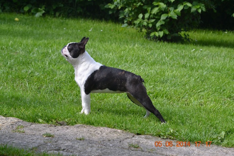 Publication : Du grand fresnoy Auteur : dominique savary