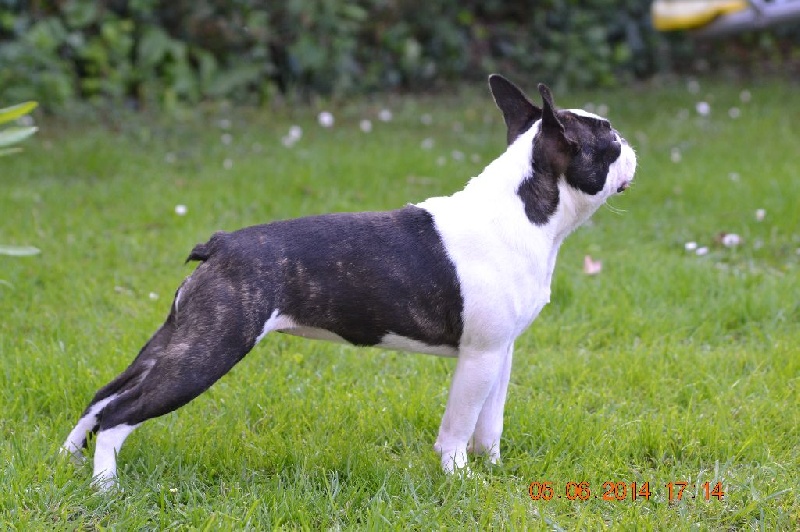 Publication : Du grand fresnoy Auteur : dominique savary