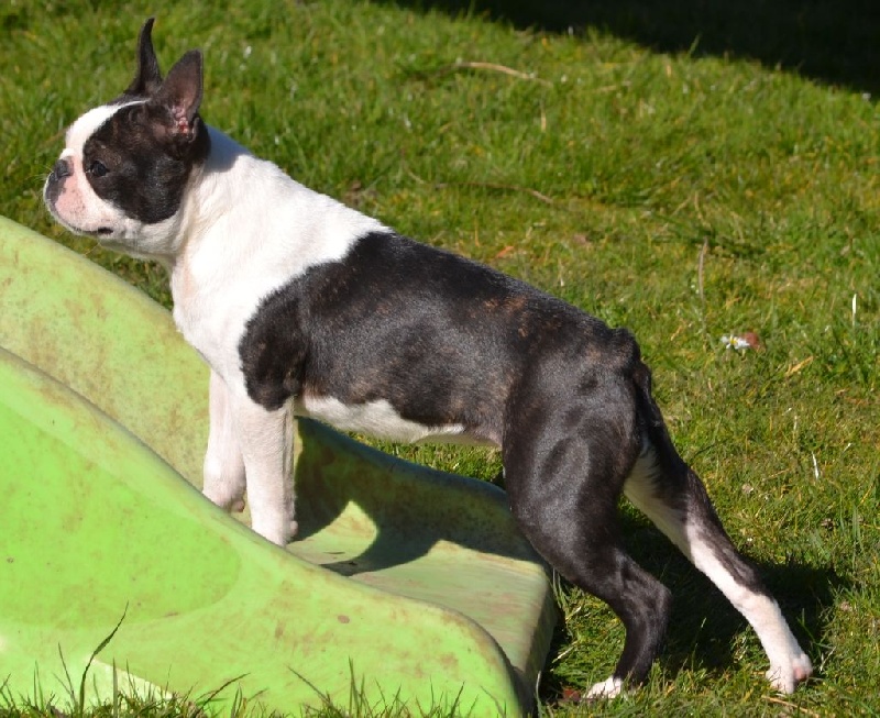 Publication : Du grand fresnoy Auteur : dominique savary