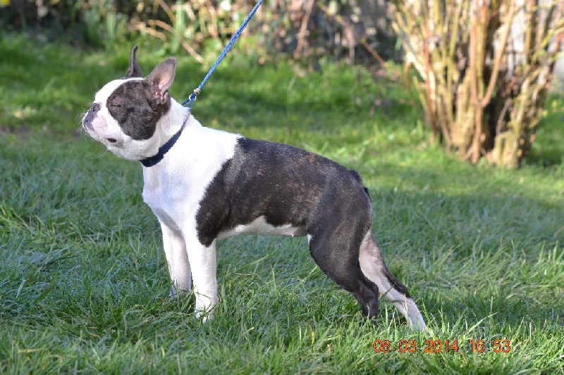 Publication : Du grand fresnoy Auteur : dominique savary