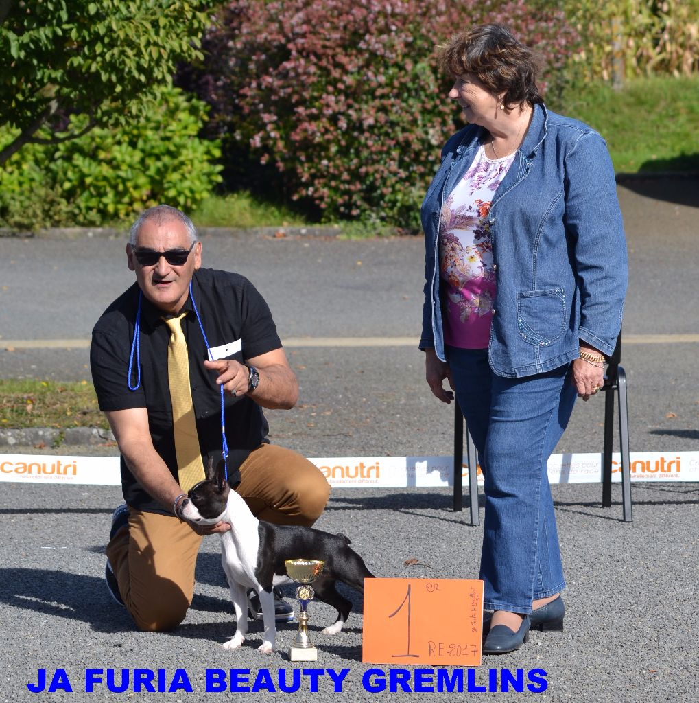 CH. Ja furia beauty gremlins - 1ére Très Prometteur classe puppy