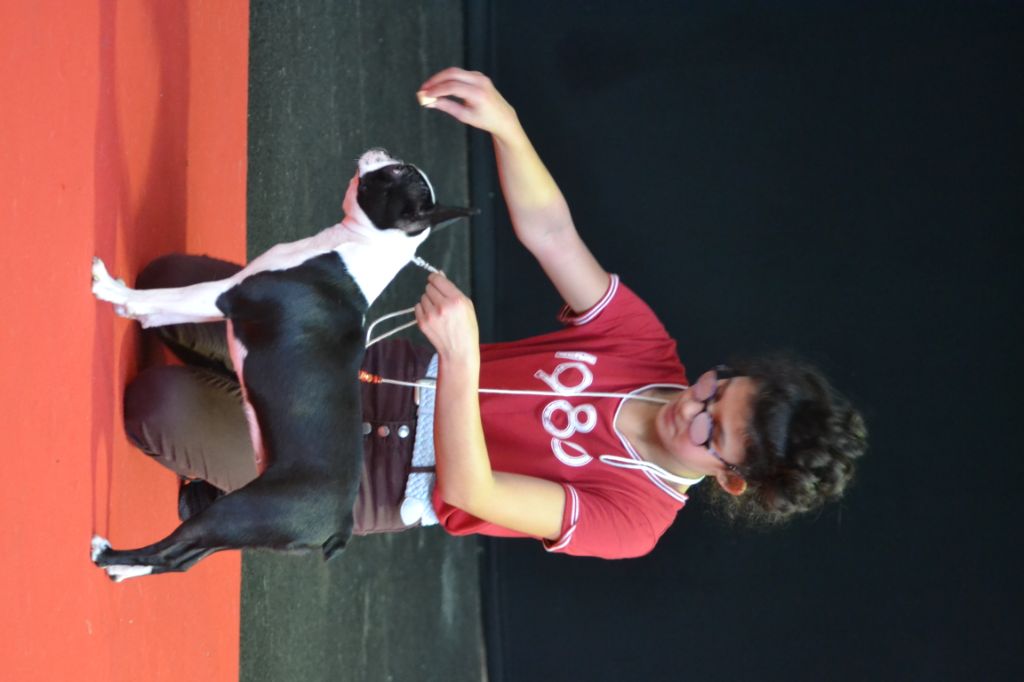 Osiris isis vom norden haus - 1ere EXC CLASSE JEUNE & MEILLEUR JEUNE