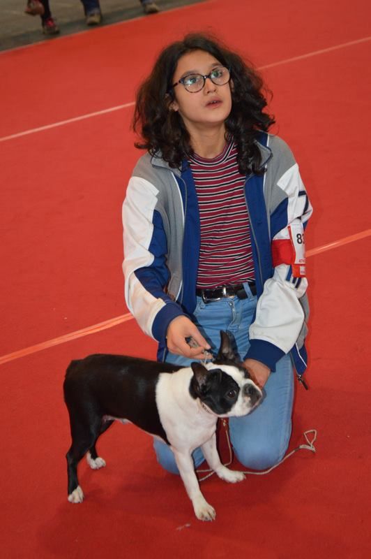 Osiris isis vom norden haus - 3éme tres bon classe jeune