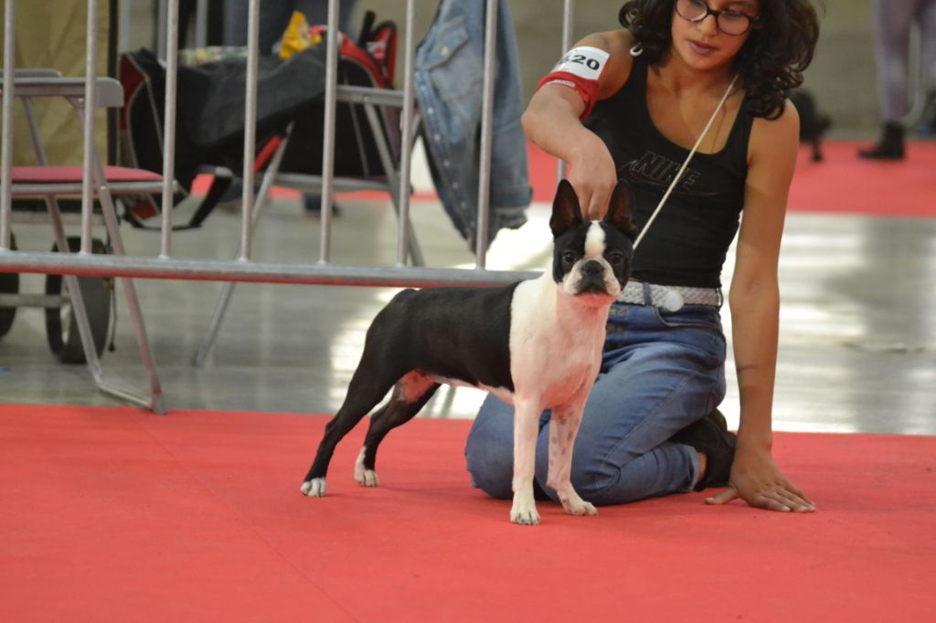 Osiris isis vom norden haus - 2émé EXC classe jeune