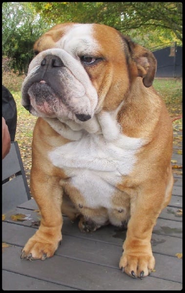 Publication : De la villenière