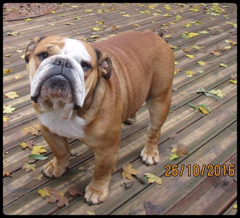 Publication : De la villenière