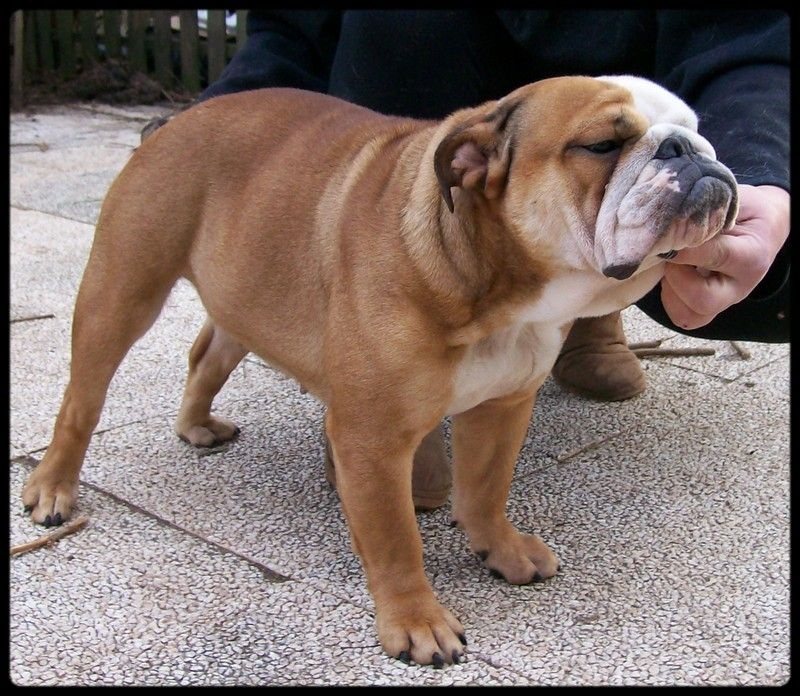 Publication : De la villenière