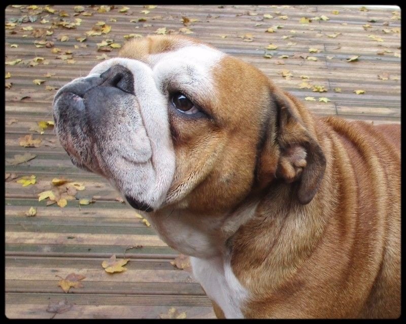 Publication : De la villenière