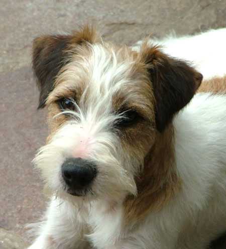 Auteur : Suzanne Pattyn