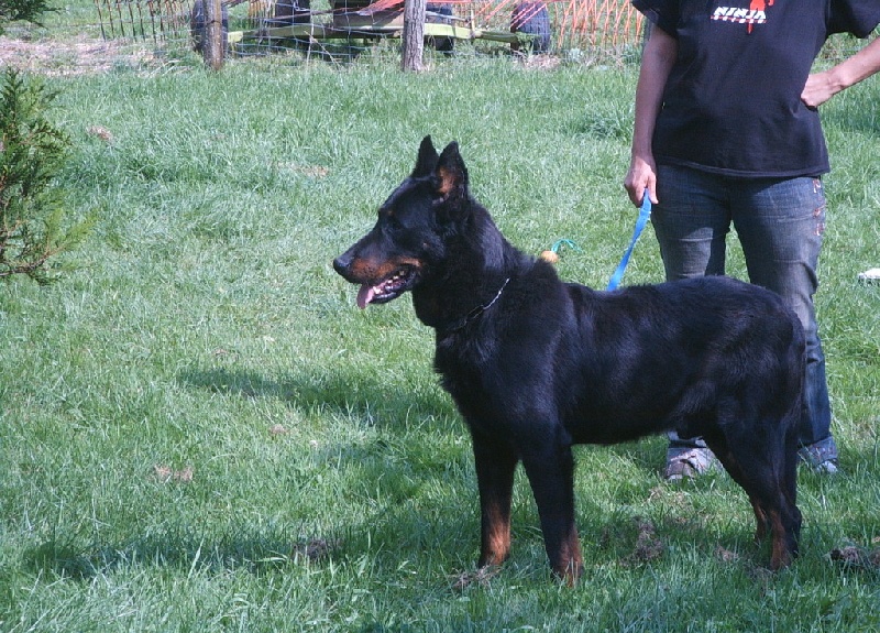 Publication : Du val de miège