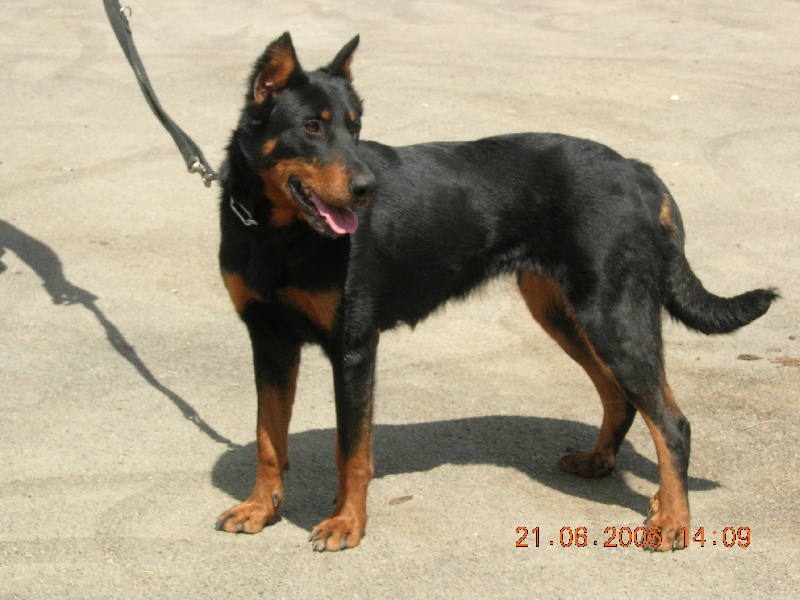 Publication : Du val de miège