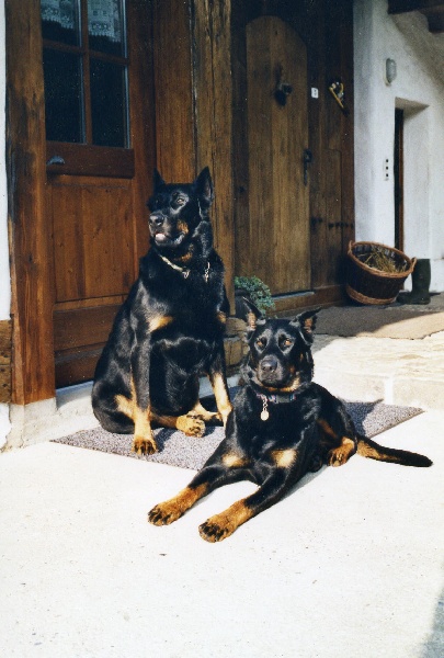 Publication : Du val de miège