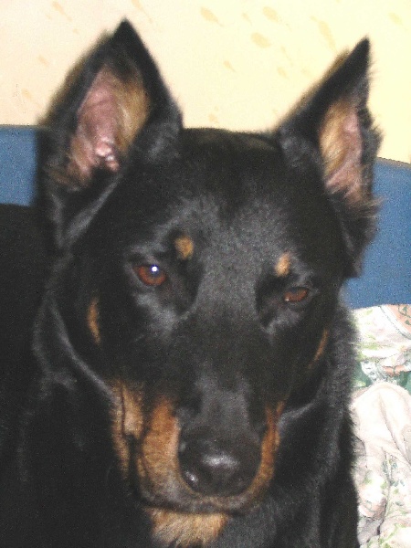 Publication : Du val de miège