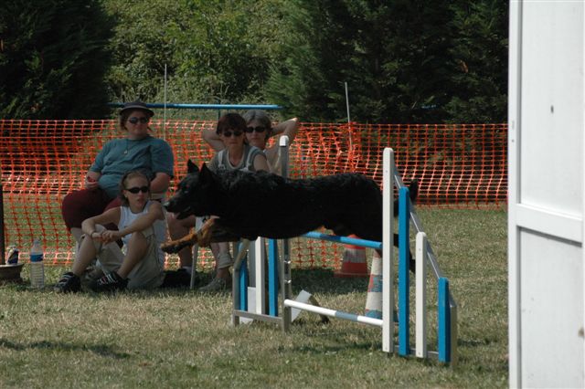 Publication : Du val de miège