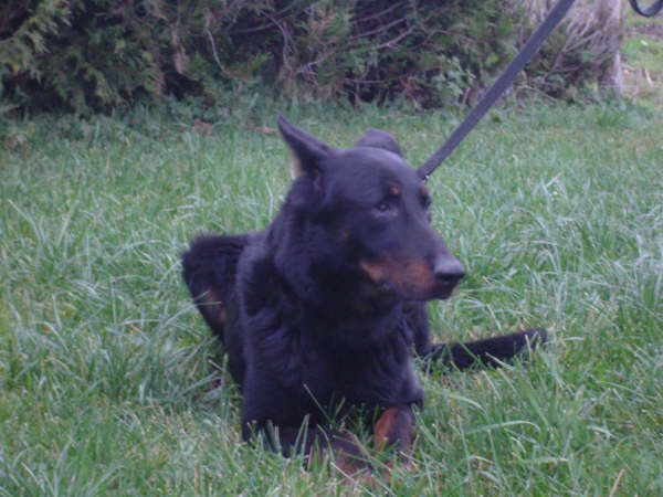 Publication : Du val de miège