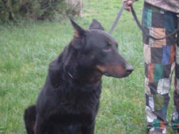 Publication : Du val de miège