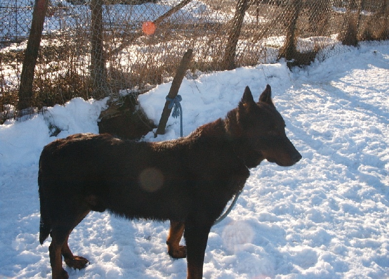 Publication : Du val de miège