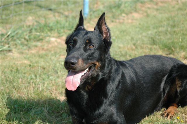 Publication : Du val de miège