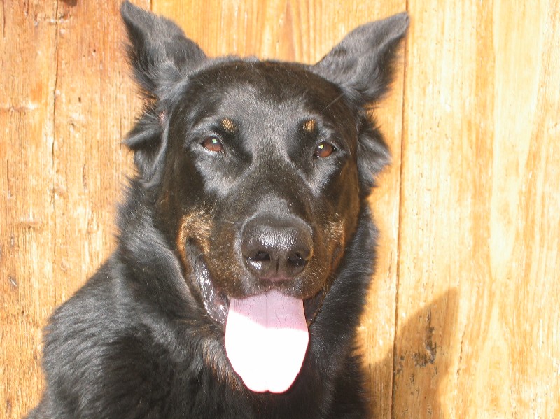 Publication : Du val de miège