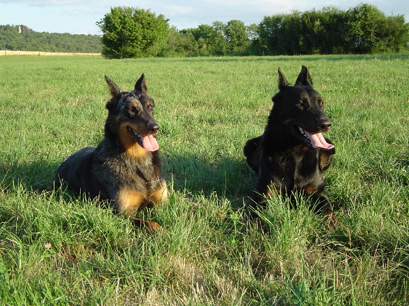 Publication : Du val de miège