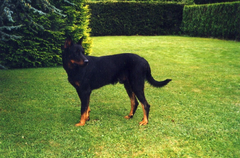 Publication : Du val de miège