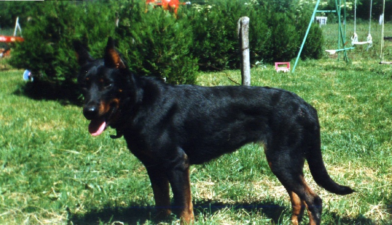 Publication : Du val de miège