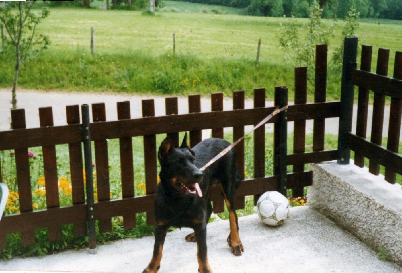 Publication : Du val de miège