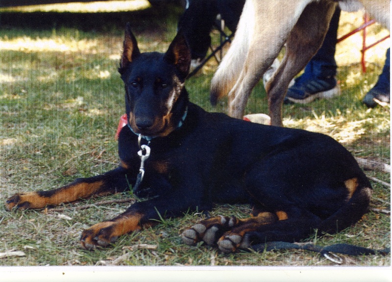 Publication : Du val de miège