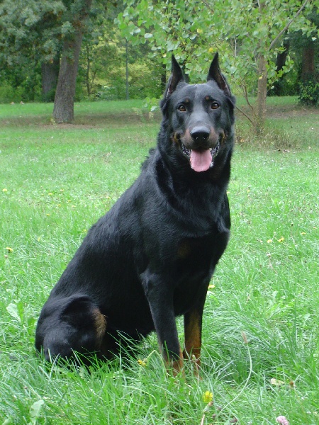 Publication : Du val de miège