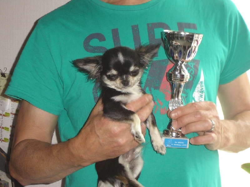 Lazaro Land van mechelaar - très prometteur