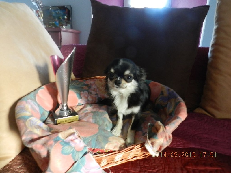 Lazaro Land van mechelaar - tres bon