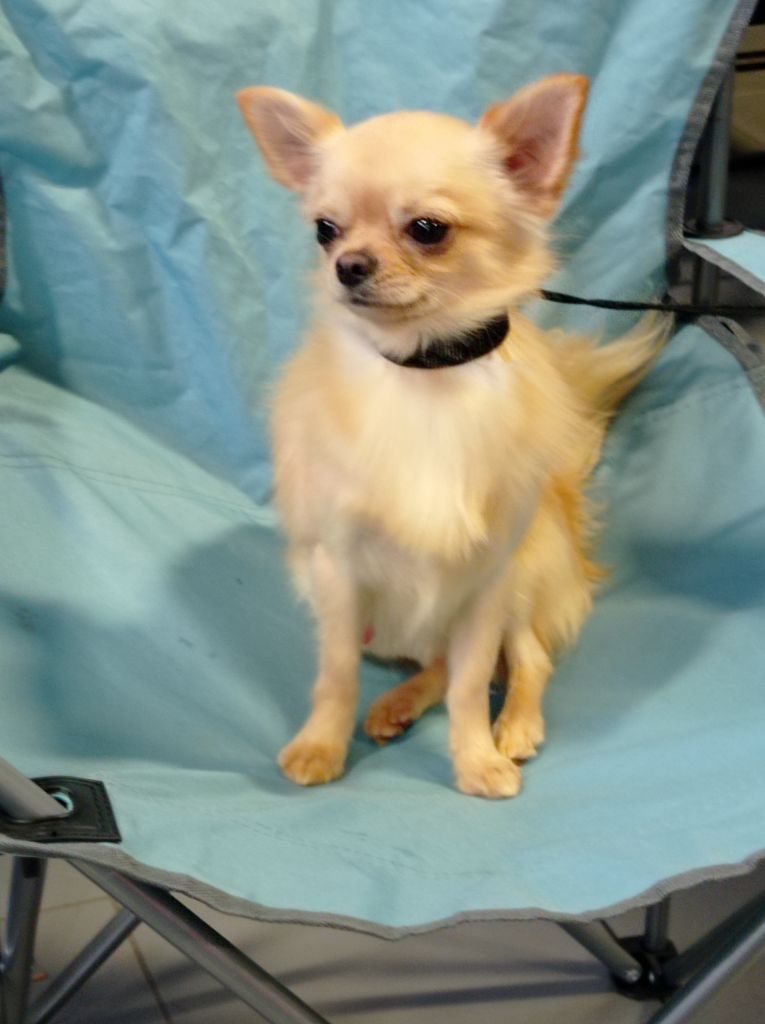 Valtat du royaume de Casabelle - excellent 2ème