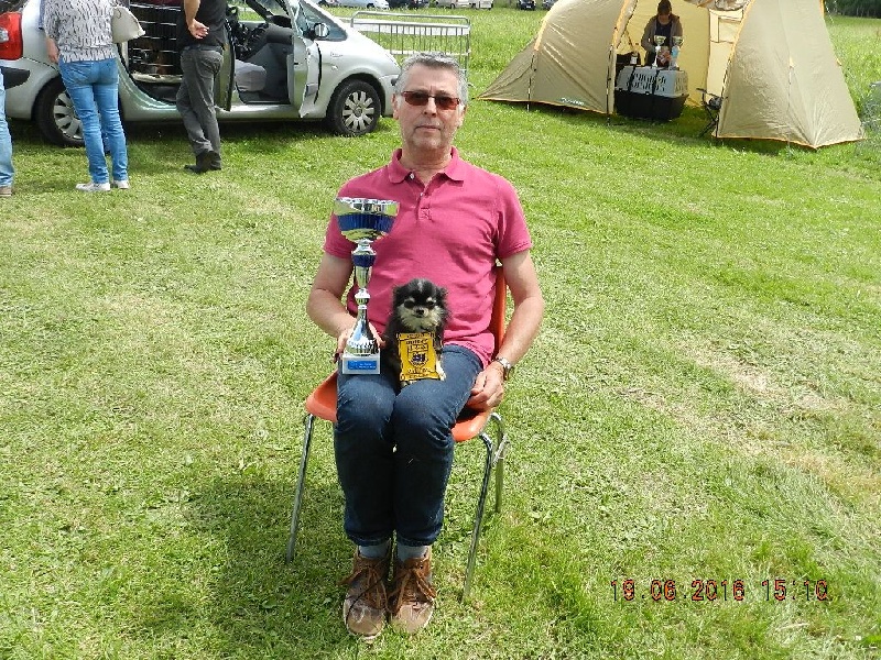 Lazaro Land van mechelaar - excll