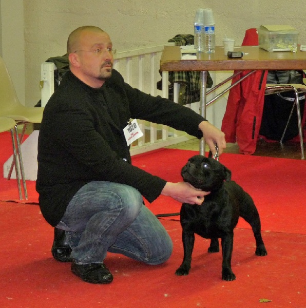 boldavier Real McCoy - 1er EXC RCACS RCACIB