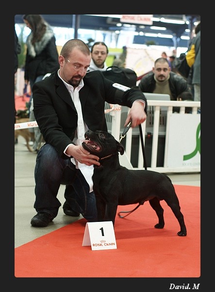 boldavier Real McCoy - 1er EXC RCAC