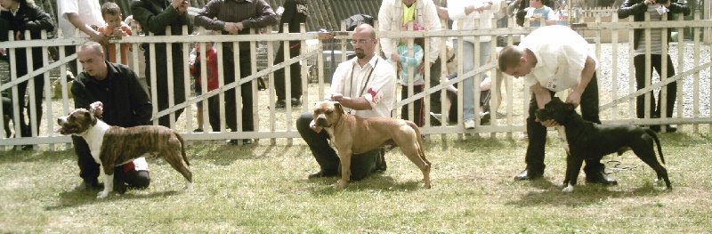 CH. Vetrap Tipit z hanky - 2éme EXC. RCACS