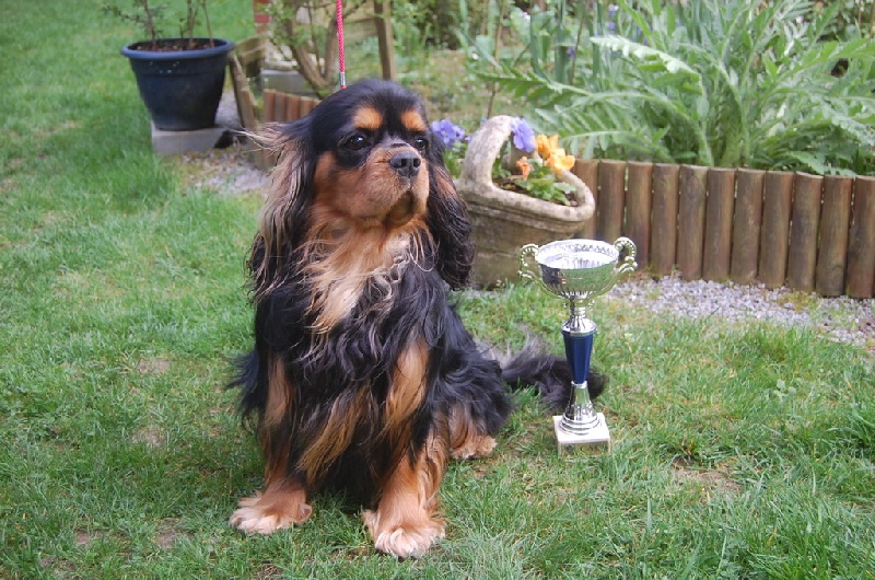 C.j De blanc miroir - 2ème excellent classe intermédiaire