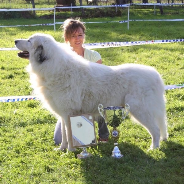 CH. Calvin klein du Mas de la Valliere - Meilleur de Race Meilleure Expression 1er Exc Classe Champion