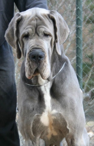 Publication : de l'Outsaïna Auteur : Esposito Floriane