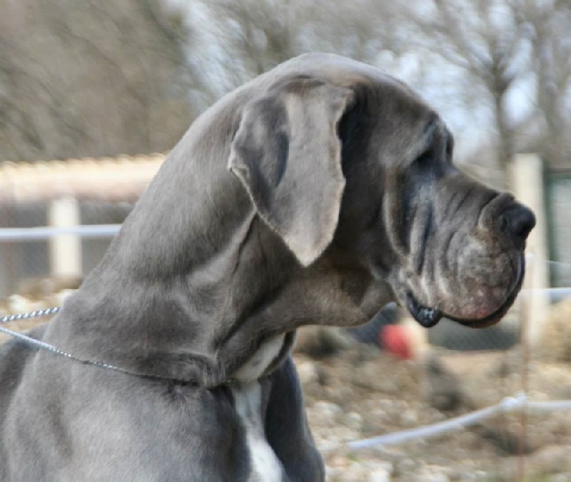 Publication : de l'Outsaïna Auteur : Esposito Floriane