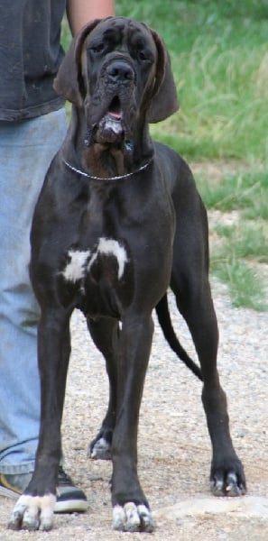 Publication : de l'Outsaïna Auteur : Esposito Floriane