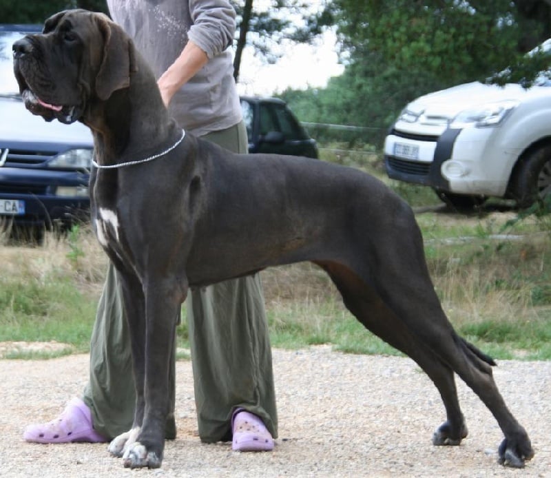 Publication : de l'Outsaïna Auteur : Esposito Floriane