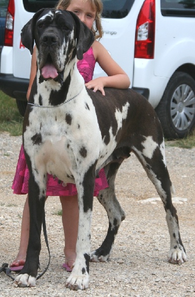 Publication : de l'Outsaïna Auteur : Esposito Floriane