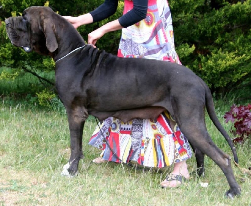 Publication : de l'Outsaïna Auteur : Esposito Floriane