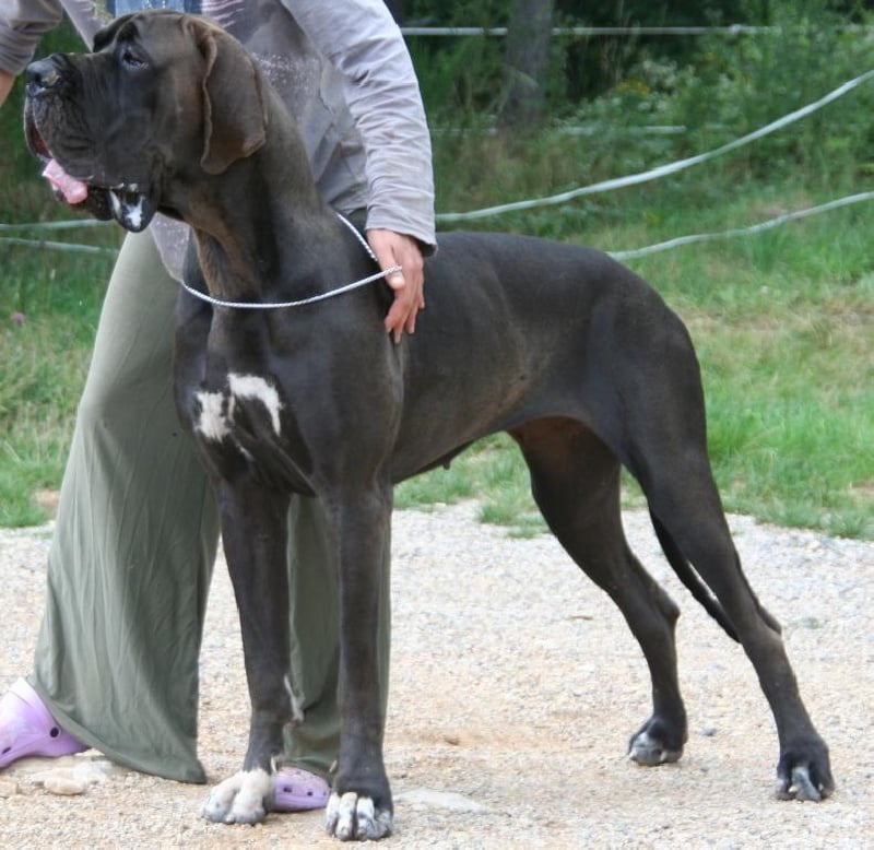 Publication : de l'Outsaïna Auteur : Esposito Floriane