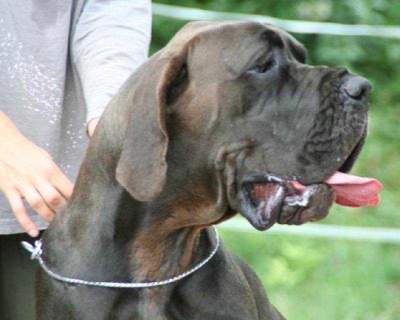 Publication : de l'Outsaïna Auteur : Esposito Floriane