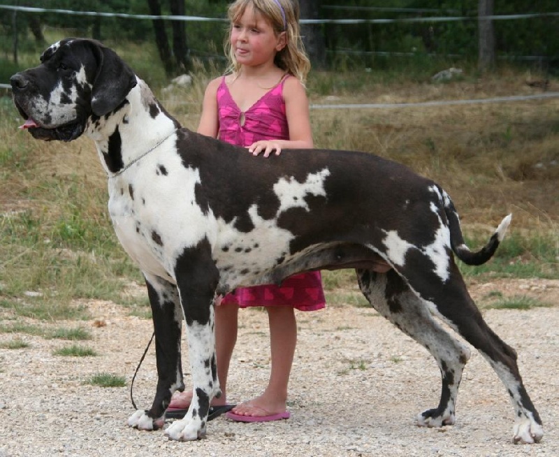 Publication : de l'Outsaïna Auteur : Esposito Floriane