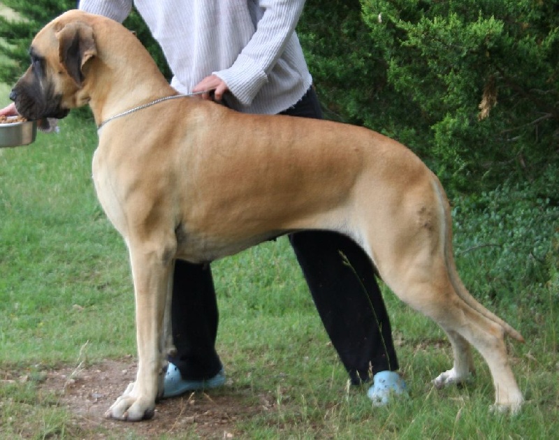 Publication : de l'Outsaïna Auteur : Esposito Floriane